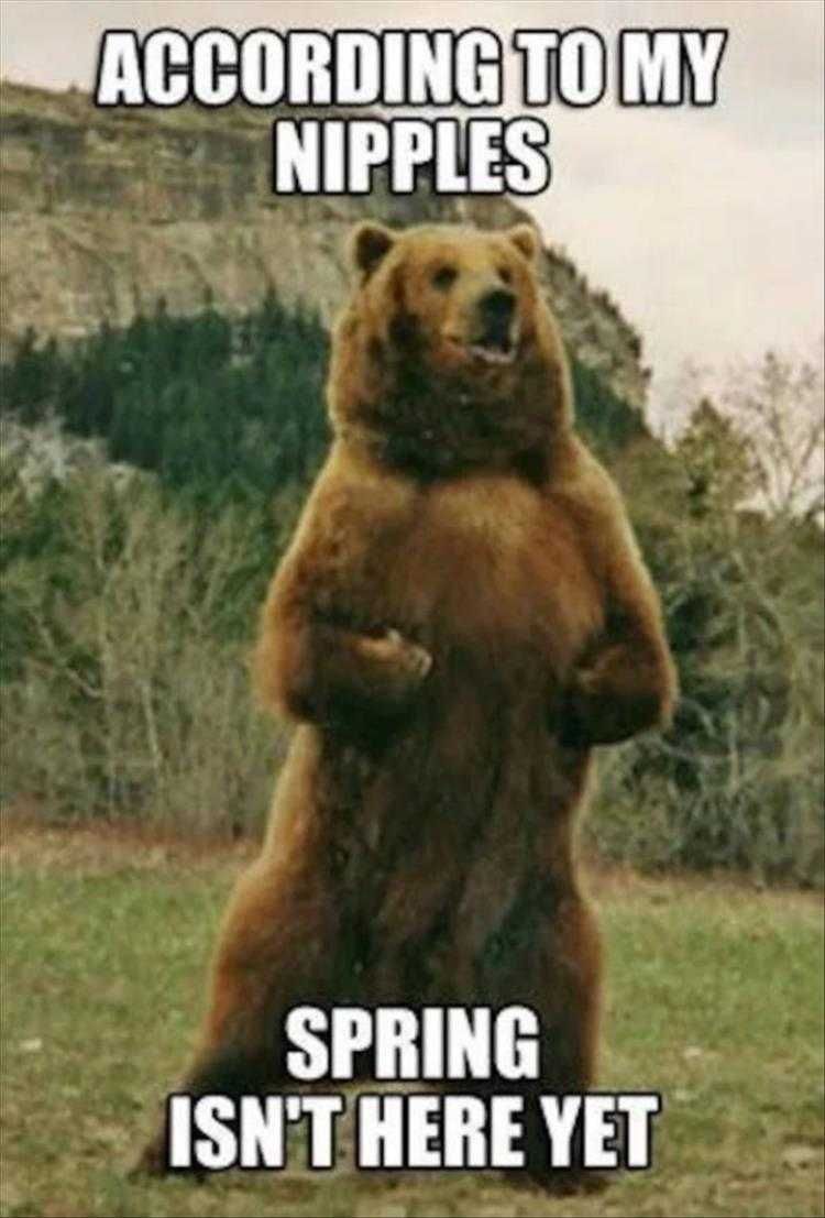 Top 24 Funny Animal Memes Of The Day_603669Dd962C9.Jpeg Animals Being Funny Pics Temperature Sensor