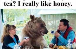 Unbearably Cool Breakfast Conversations.