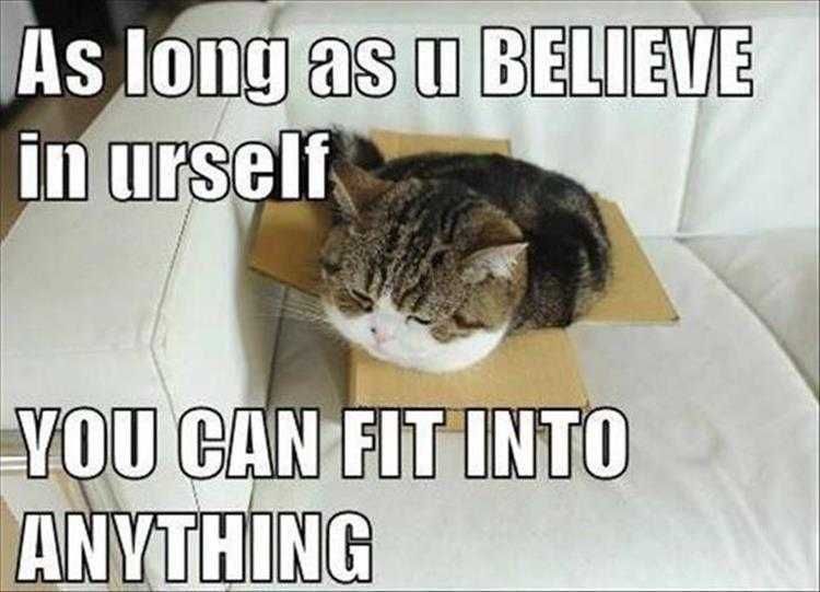 Top 26 Funny Animal Memes Of The Day_6023F4E4Ca49C.jpeg Hysterical Animal Pictures With Captions Inspirational Quotes Illustrated