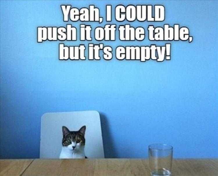 Top 28 Funny Animal Memes Of The Day_603518586A303.Jpeg Animals Being Funny Pics No Point If It'S Empty
