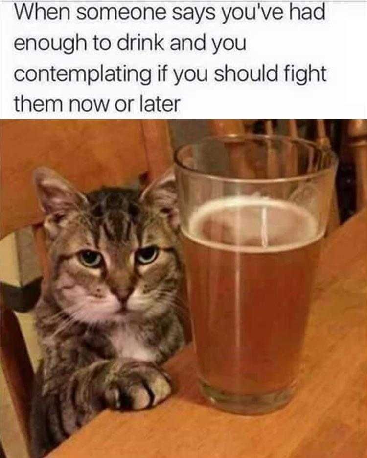 Top 35 Funny Animal Memes Of The Day_6033C6E5C506E.jpeg Animals Being Funny Pics Being Cut Off
