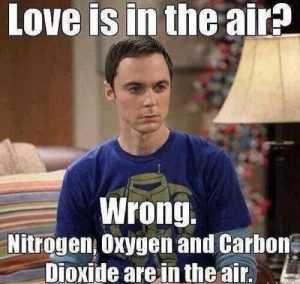 Tumblr_Oldin6Kbz41W24Mito1_500 Valentines Memes Tell It Like It Is.