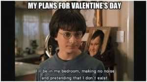Valentines Valentines Memes Harry Potter Fans Survival Strategy