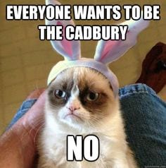 Funny Animal Easter Memes