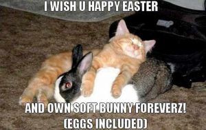 Dirty Funny Easter Memes Dirty Funny Easter Memes