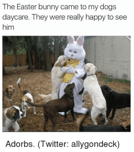 20 Funny Dog Easter Memes To Enjoy While You Binge Eat Easter Eggs 20 Funny Dog Easter Memes To Enjoy While You Binge Eat Easter Eggs
