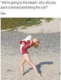 Beach-Memes-Cat Beach Memes Just Essentials