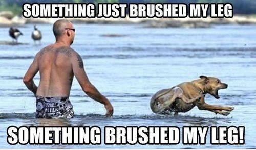 Beach-Memes-Leg Beach Memes Dont Like It