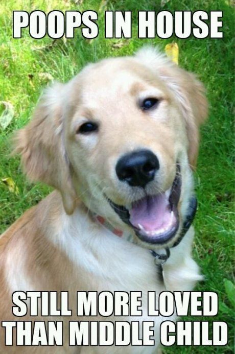 Middle-Child-Meme-Doggo Tiktok Middle Child Memes