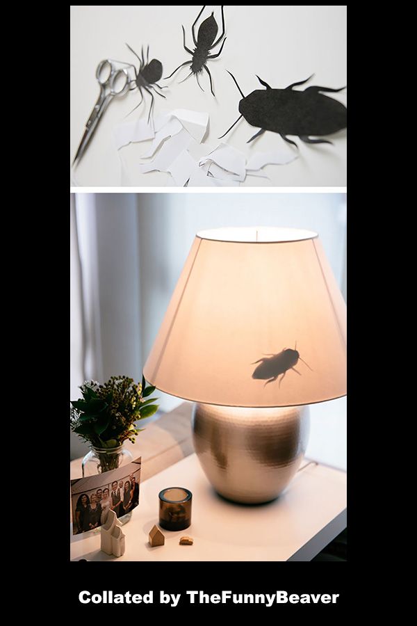 Funny-April-Fools-Ideas-20 Funny April Fools Ideas Roach Alert