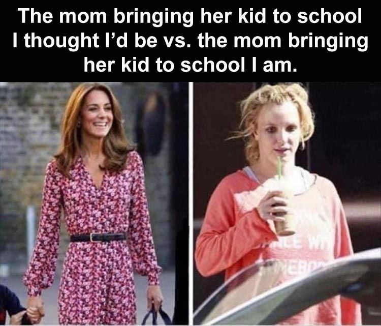 Hilarious Memes About Life Blame It On Homeschool