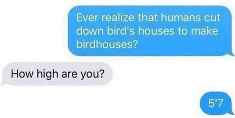 Hilarious Memes About Life Buff Said