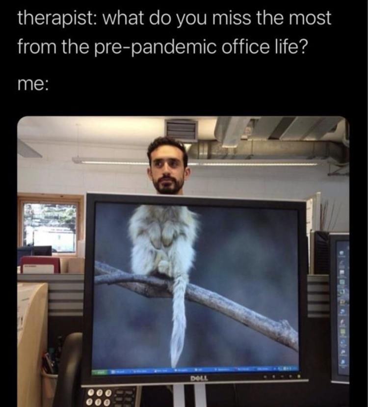 Hilarious Memes About Life Not The Same On Zoom
