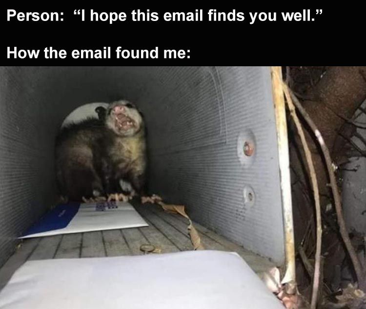 Hilarious Memes About Life False Hope