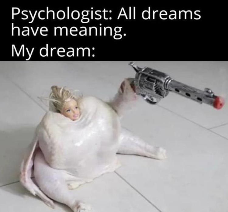 Hilarious Memes About Life Dream The Impossible Dream