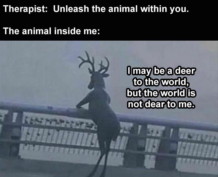 Hilarious Memes About Life Unleashed