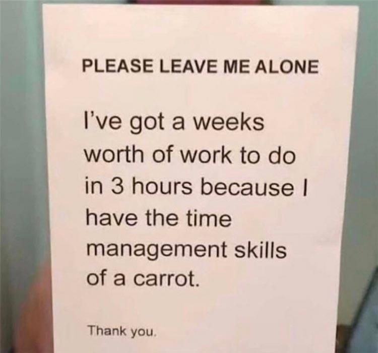 Hilarious Memes About Life Do Not Insult Carrots