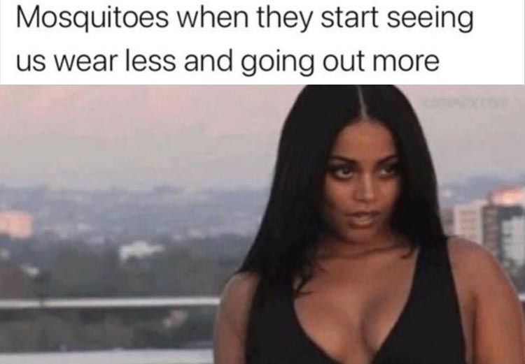 Hilarious Funny Memes
