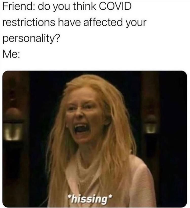 Hilarious Funny Memes