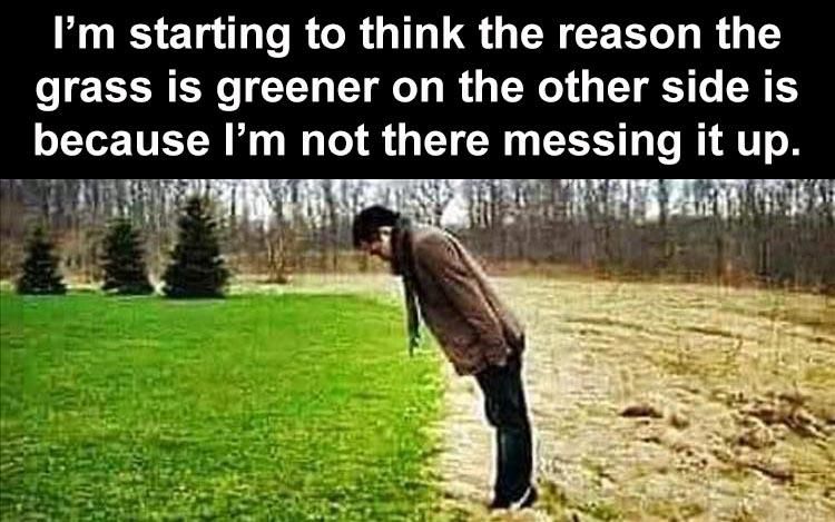 Hilarious Funny Memes