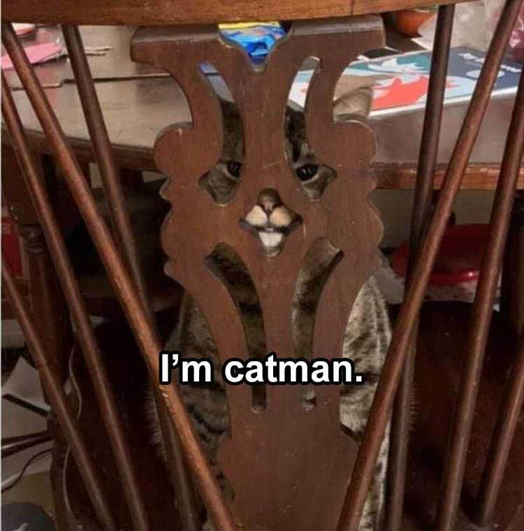 The Funniest Animal Memes Of The Week – 45 Pics_604E24Ded7C64.Jpeg Funny Animal Images With Sayings