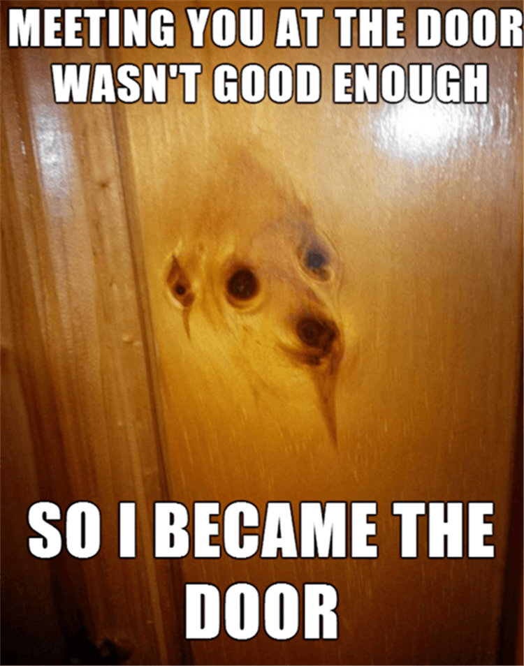 Top 25 Hilarious Animal Pics With Captions Hilarious Animal Pics With Caption Melted Into Door