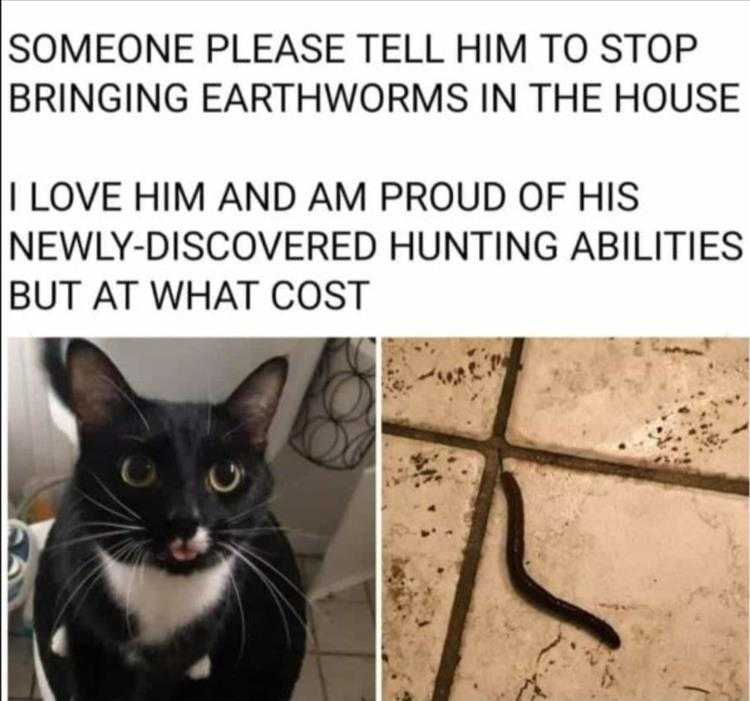 Hilarious Animal Pictures With Quotes