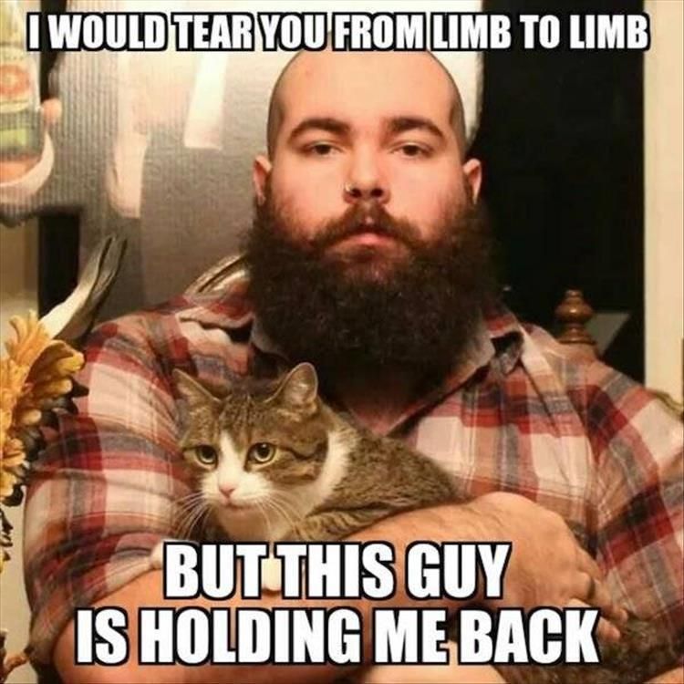 Hilarious Animal Pics With Caption Killa Kat