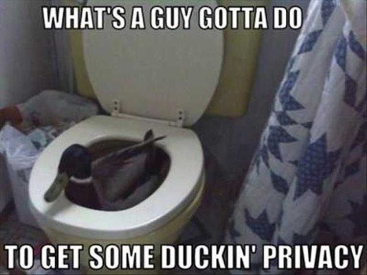 Funny Animal Images With Sayings