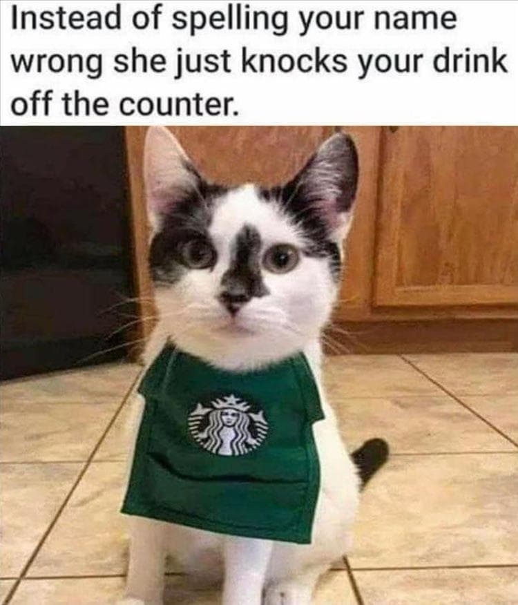 Hilarious Animal Pictures With Quotes