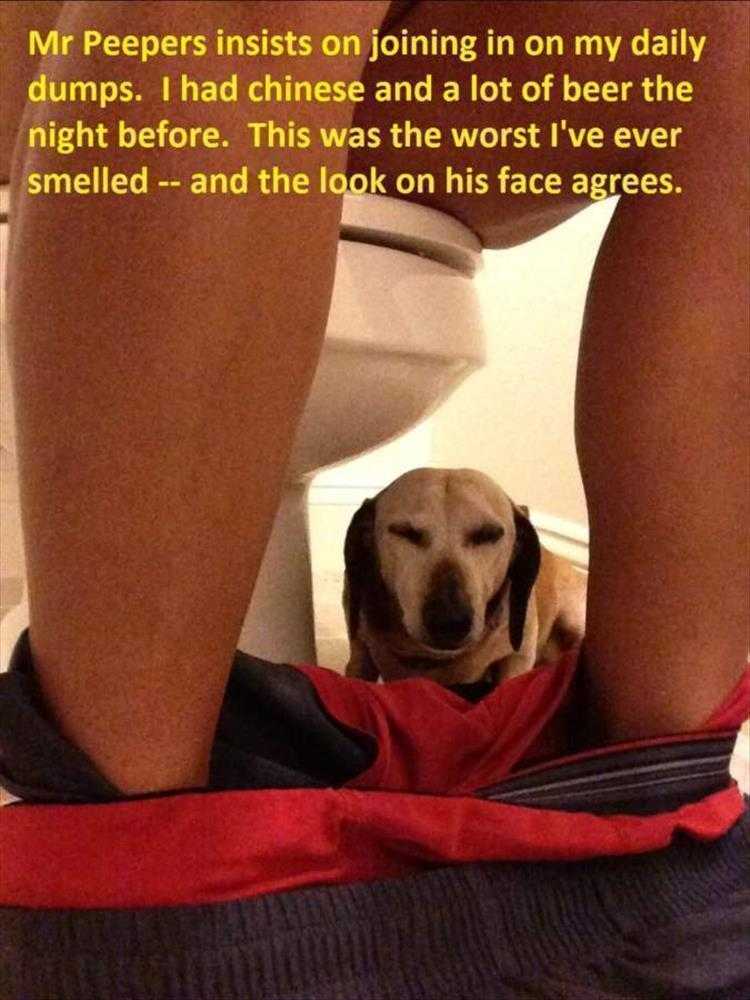 Funny Animal Pictures With Captions To Share