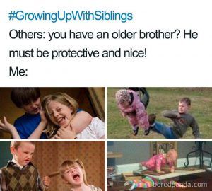 1080729669Ddff819E08298060C18E2C Funny Sibling Memes