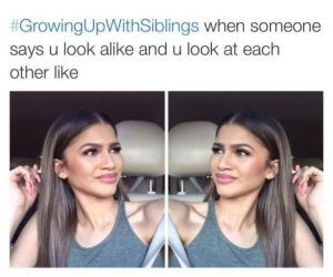 86246955 Funny Sibling Memes