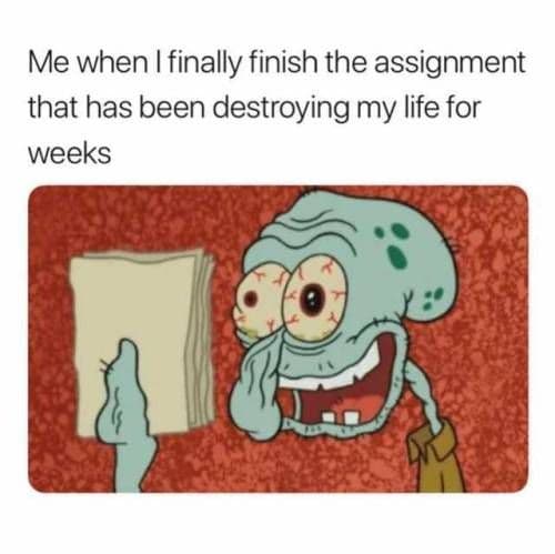 20 Funny University Memes For Students 