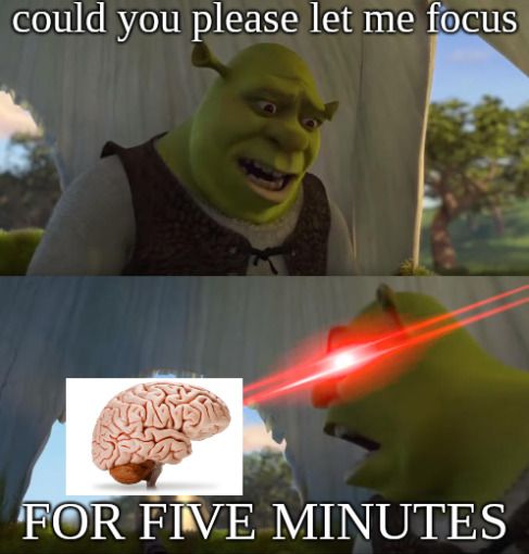 Adhd-Meme-Shrek Hilarious Adhd Memes