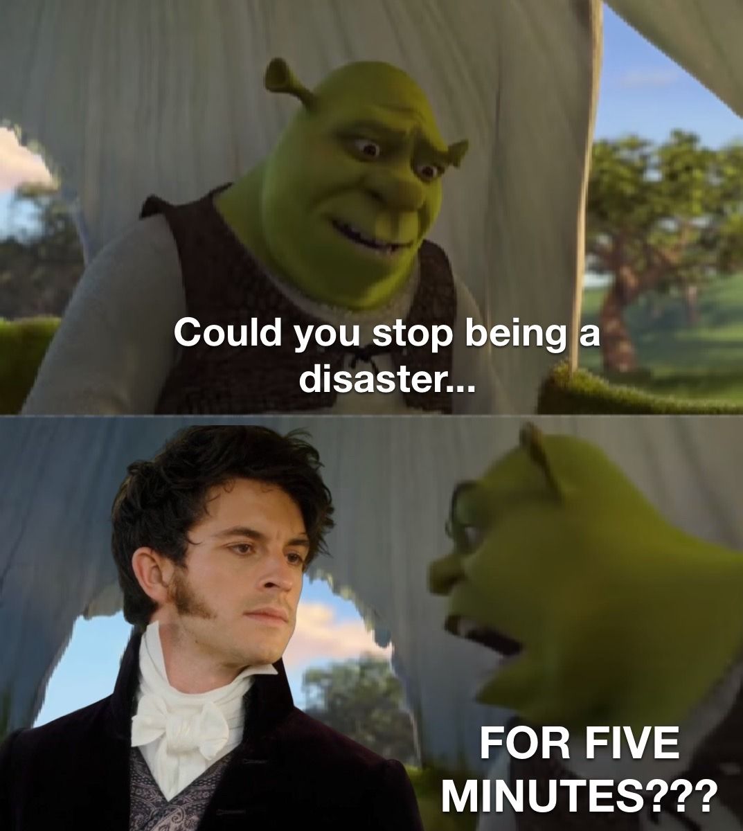 Brindgerton-Meme-Shrek Shareworthy Bridgerton Memes