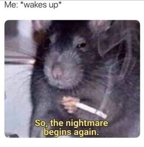 Depression-Memes-Rat Depression Memes Pics