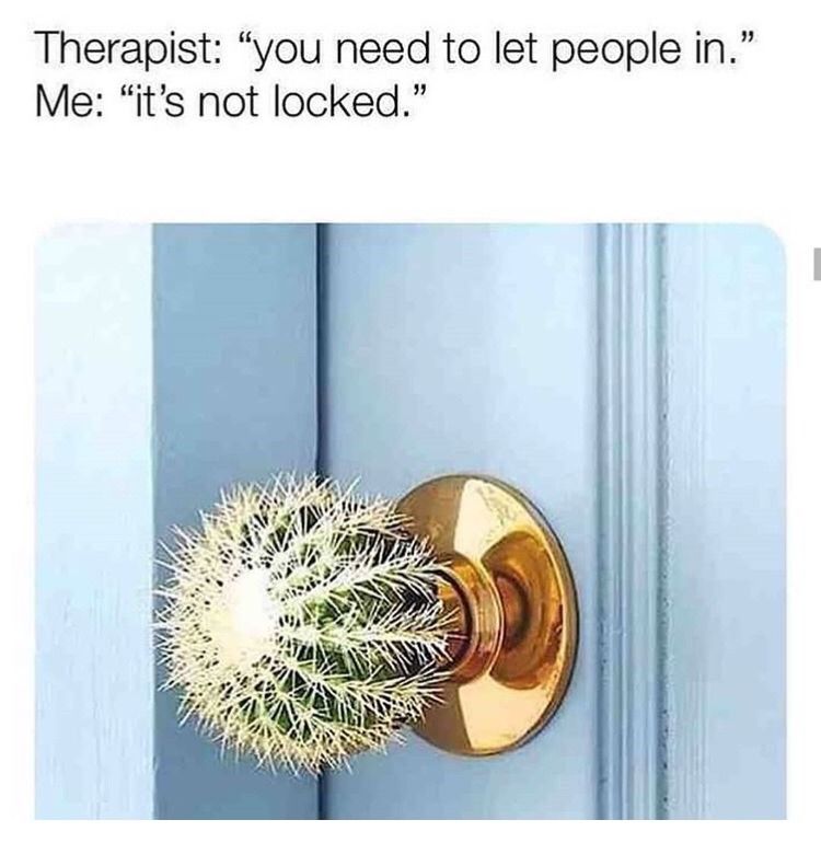 Depression-Memes-Cactus Funny Depression Memes