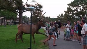 20 Amazing Posts About Animals Close Encounters