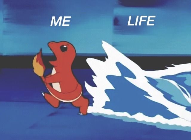 Pokemon-Meme-Charmander-Life Pokemon Memes