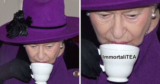 Royal-Family-Meme-Immortal Royal Family Meme Funny Af