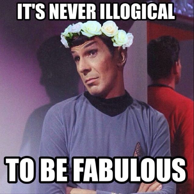 Star-Trek-Meme-Fabulous Clean Star Trek Memes