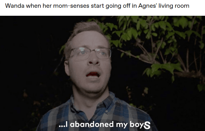 Wandavision-Meme-Cat-Boys Wandavision Memes Best