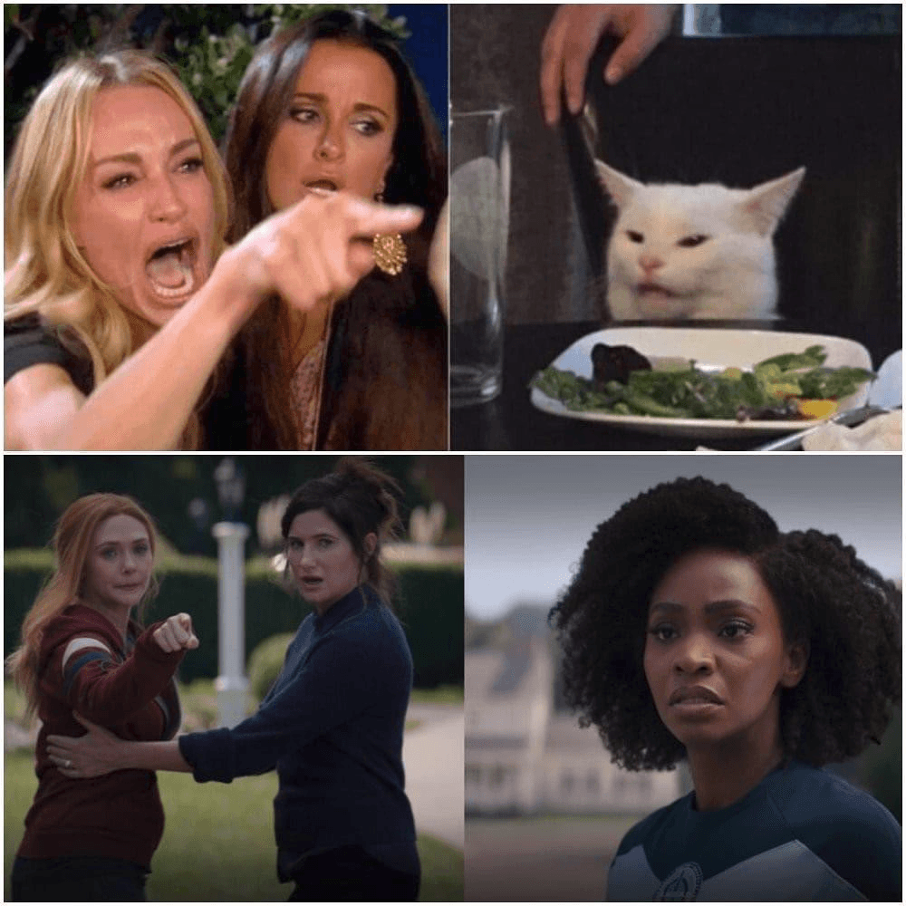 Wandavision-Meme-Cat-Woman Hilarious Wandavision Memes