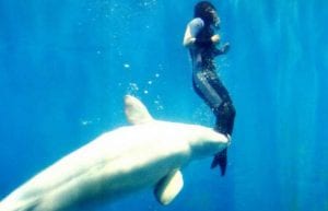 Amazing Posts About Animals