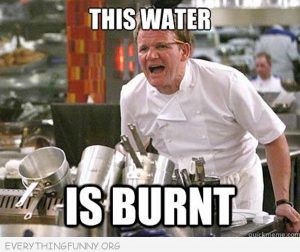 Bc3461Ec3Ed85A9822Ee90Be77Ff48Fc Hilarious Gordon Ramsey Memes