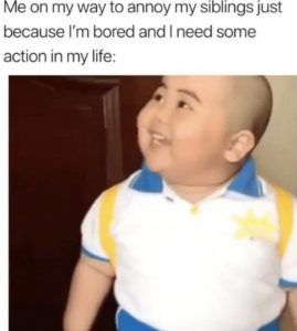 C6Aee2E636Bcc5E555C2F0B947Eb58E7 Funny Sibling Memes