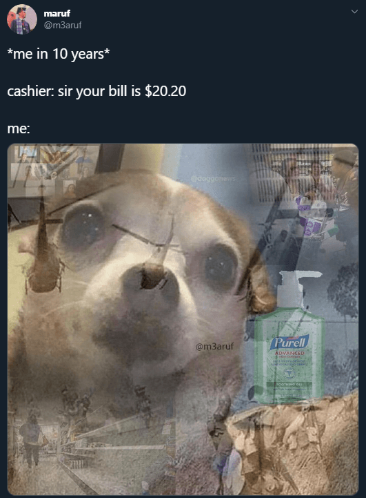 Chihuahua-Meme-2020 Best Chihuahua Memes