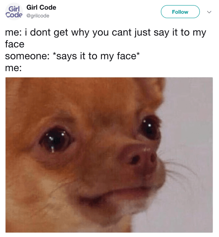 Chihuahua-Meme-Face Funny Chihuahua Memes