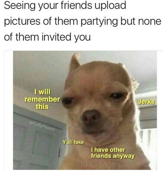 Chihuahua-Meme-Friends Chihuahua Memes Funny Af